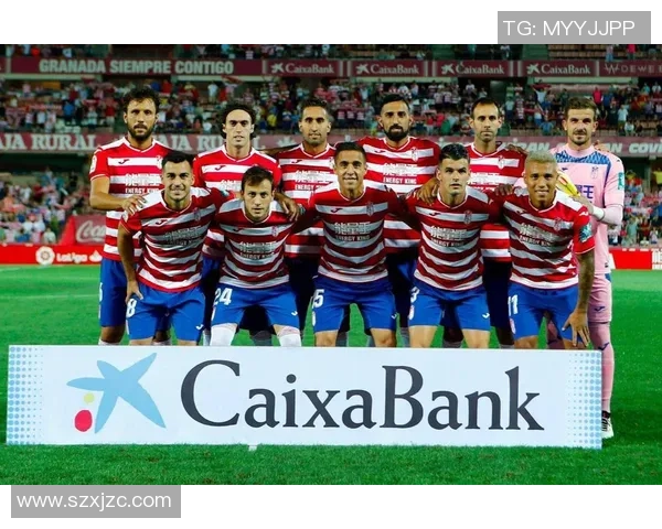 南京足球队运营革新探索：从管理模式到球迷互动的全面升级之路