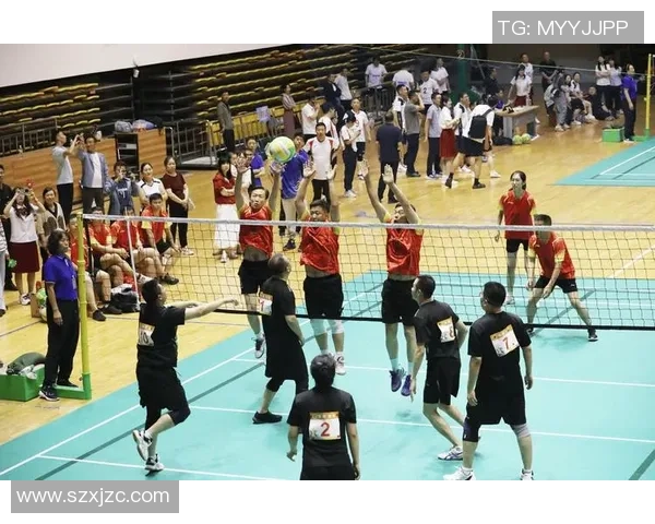 重庆排球队的耐力之道：揭秘排球运动背后的坚持与拼搏精神