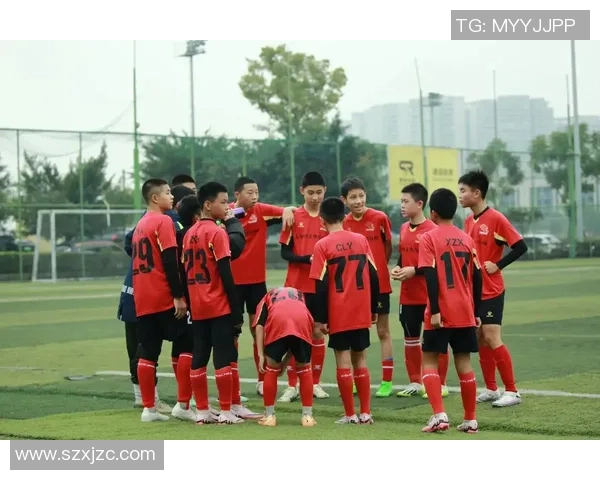 SFP足球:探索未来足球的创新理念与发展趋势 SFP足球:探索未来足球的创新理念与发展趋势