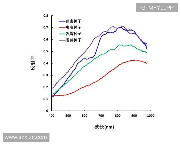 武汉攀岩队状态分析及表现评估的综合数据研究报告