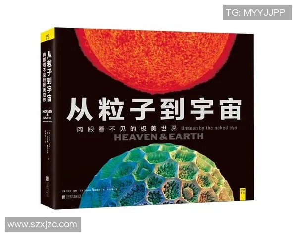 萝卜足球的奇妙之旅：从田间到球场的趣味碰撞与成长故事