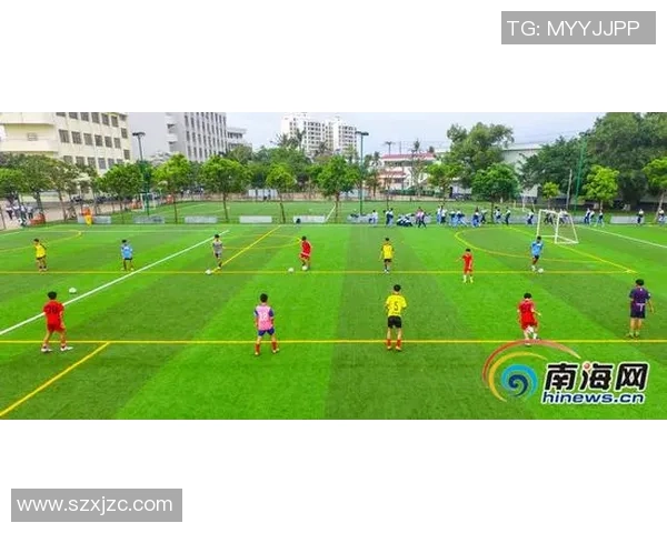 生命缘足球：在绿茵场上追寻梦想与友情的旅程