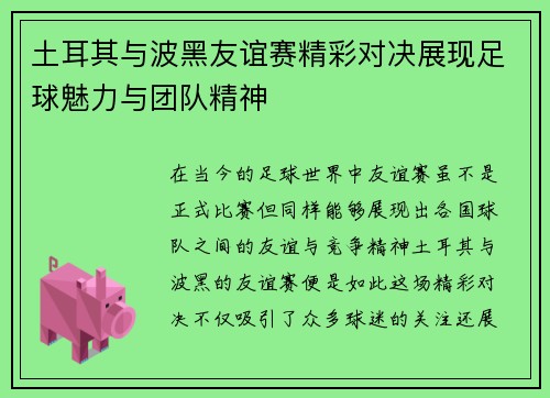 土耳其与波黑友谊赛精彩对决展现足球魅力与团队精神